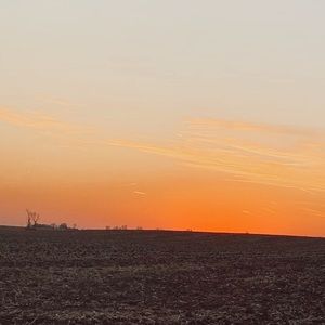 Meet your Posher, Carly